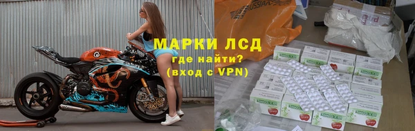 крисы Елабуга