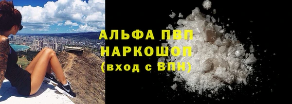 крисы Елабуга