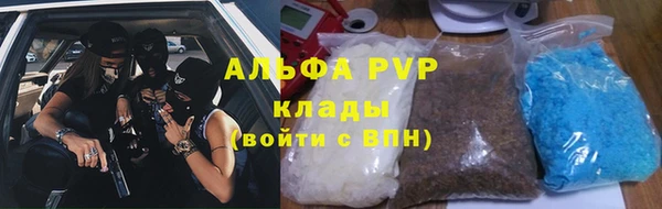 крисы Елабуга