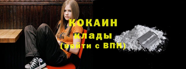 крисы Елабуга