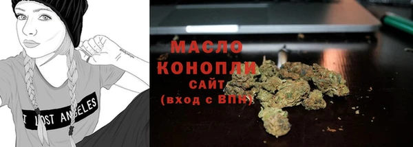 крисы Елабуга