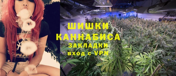 крисы Елабуга