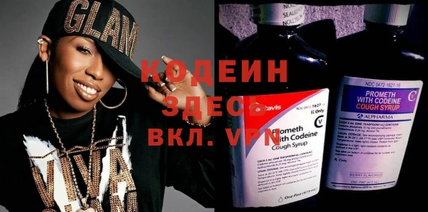 крисы Елабуга