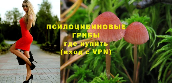 мескалин Елизово