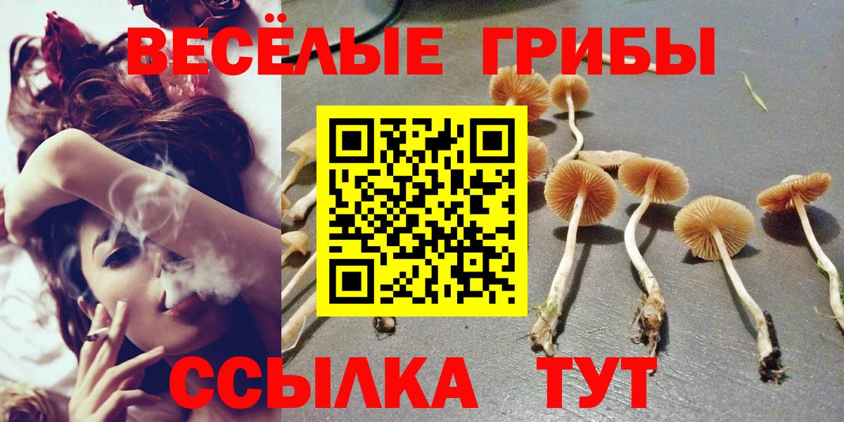 Галлюциногенные грибы Psilocybe  Вход с VPN  цена наркотик  Ишимбай 